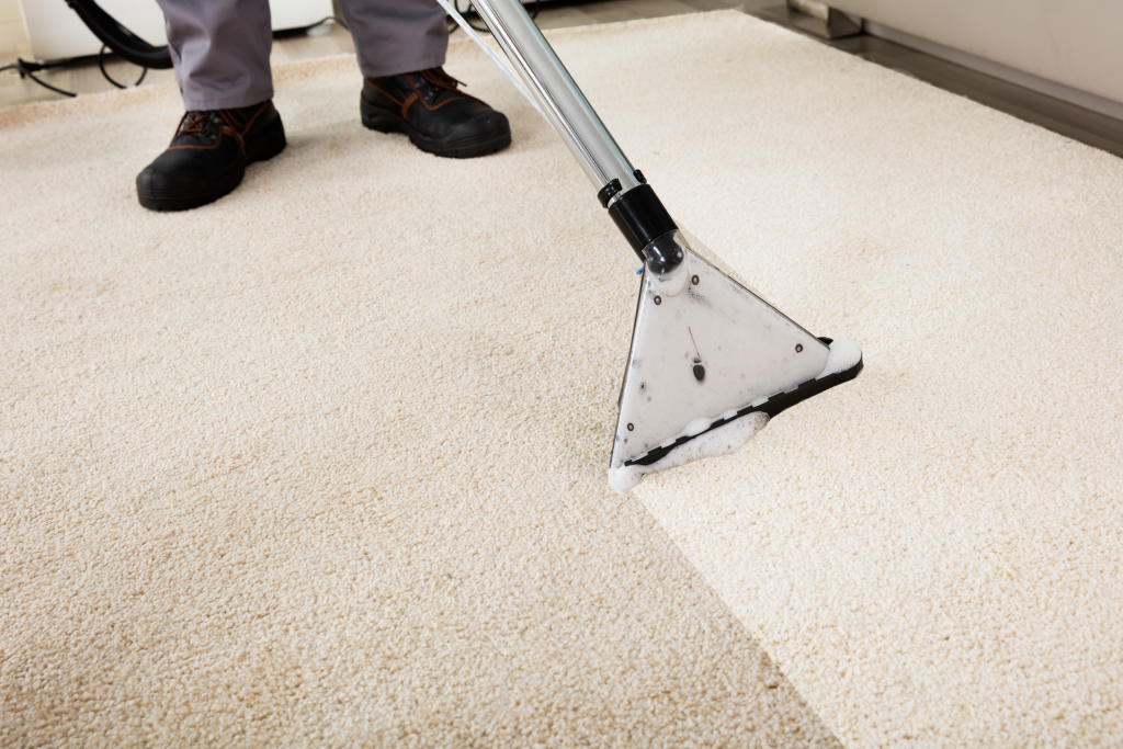 Holiday Cottage Carpet Clean by Dryden Services as part of Holiday Cottage Housekeeping Alnwick